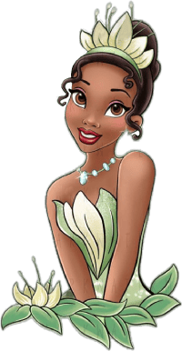 Decoración del evento